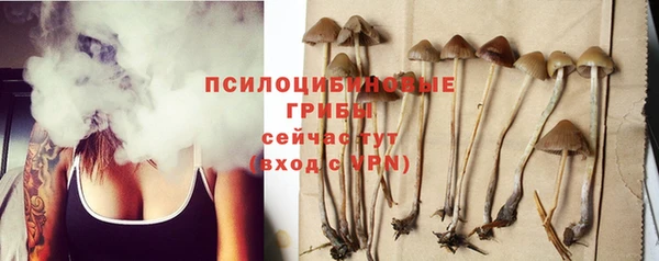 mix Вяземский