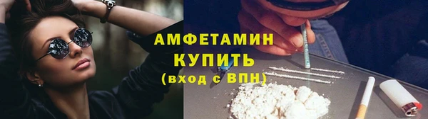 стаф Вязьма