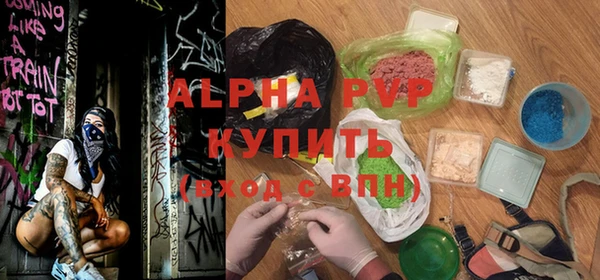 стаф Вязьма