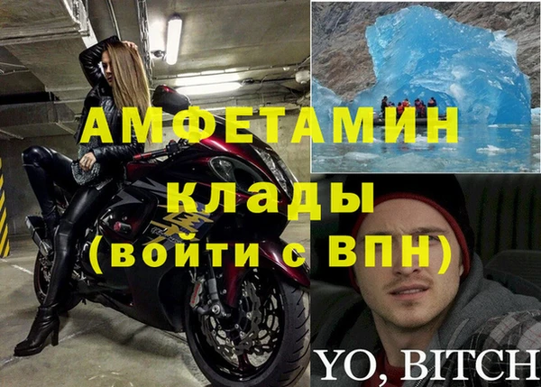 PSILOCYBIN Вязники