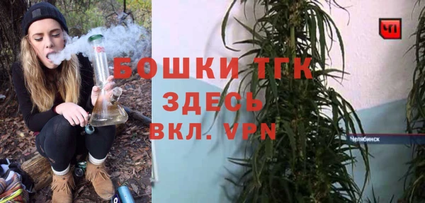 стаф Вязьма