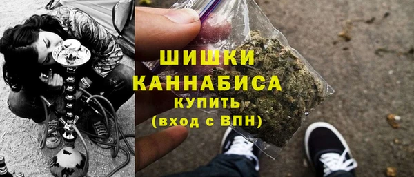 стаф Вязьма