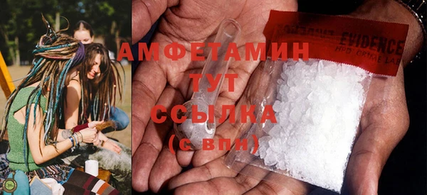 стаф Вязьма