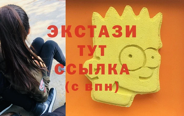 стаф Вязьма