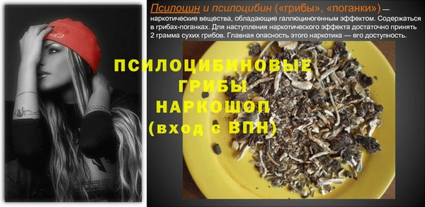 mix Вяземский