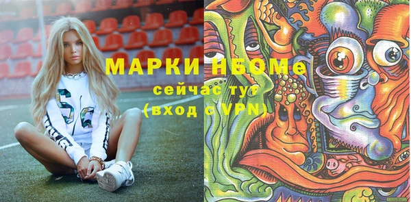 стаф Вязьма