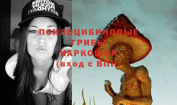 стаф Вязьма