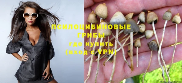 PSILOCYBIN Вязники