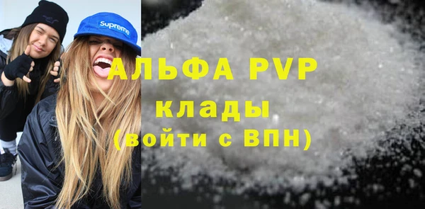 стаф Вязьма