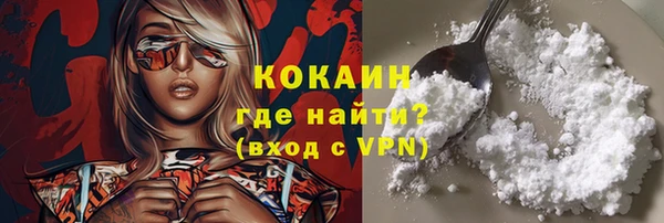стаф Вязьма