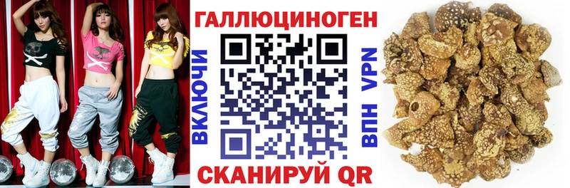 ссылка на мегу как зайти  Хасавюрт  Галлюциногенные грибы Magic Shrooms  наркотики 