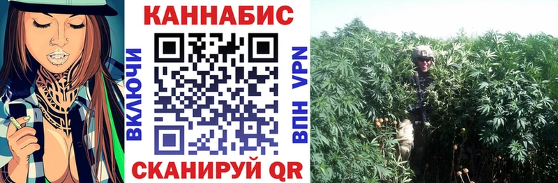 Бошки марихуана гибрид  купить  цена  Хасавюрт 